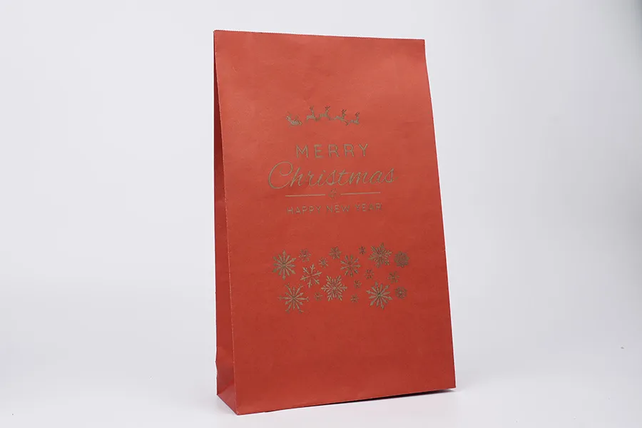 Christmas Gift Bags-Step2 -2