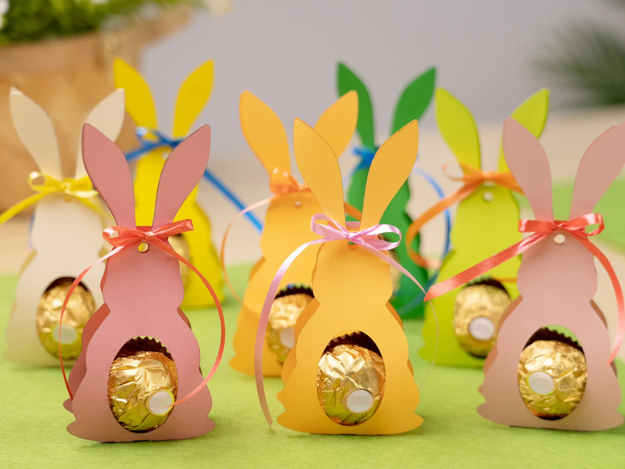 Rabbit Candy Packaging image 1