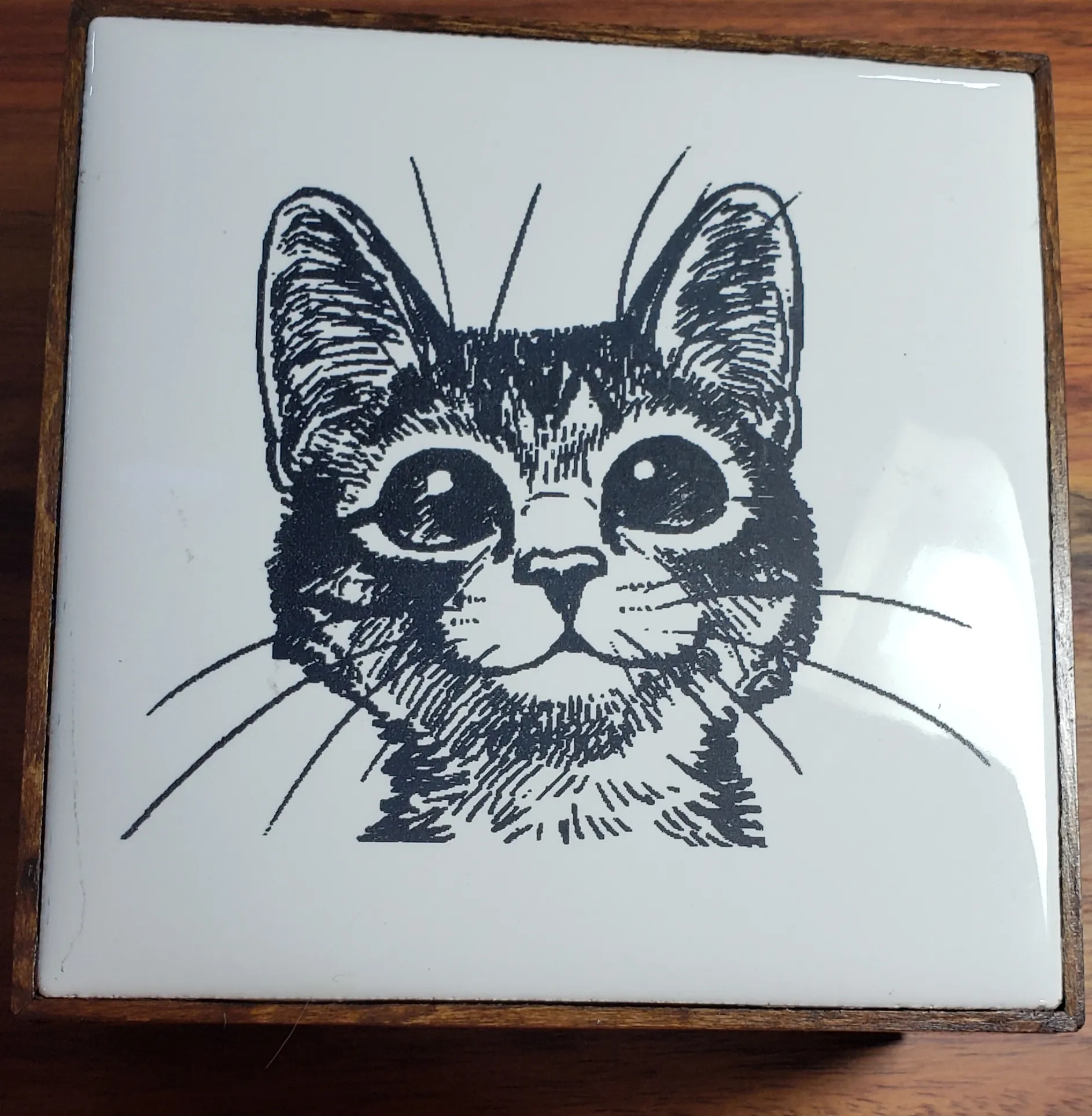 Cat Box-Step1 -1