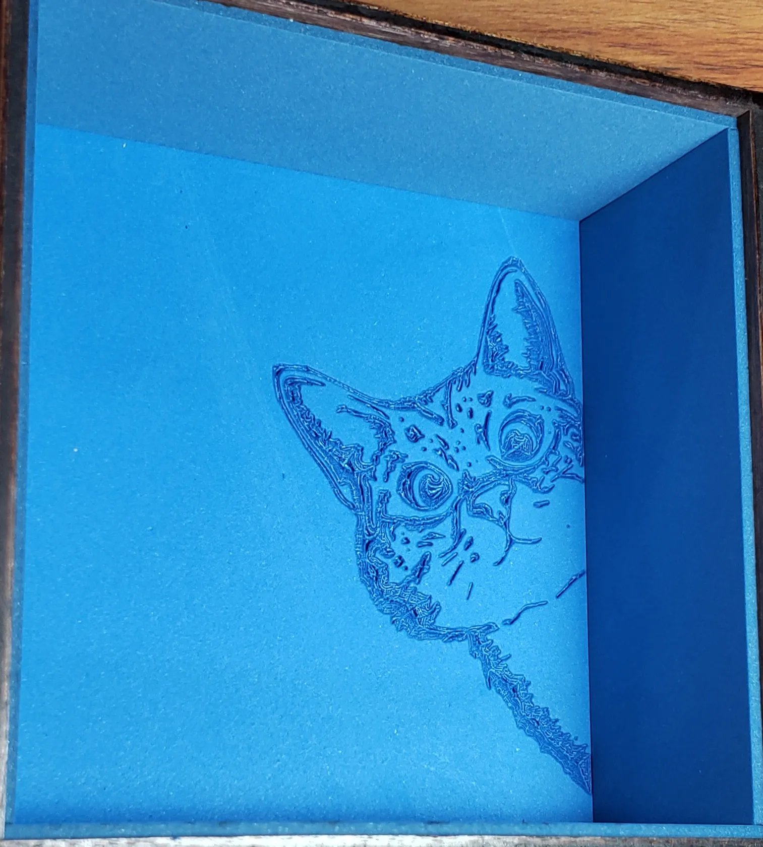 Cat Box-Step4 Engrave Foamy  Bottom Liner-1