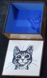 Cat Box thumbnail 2