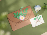 Envelope thumbnail 1