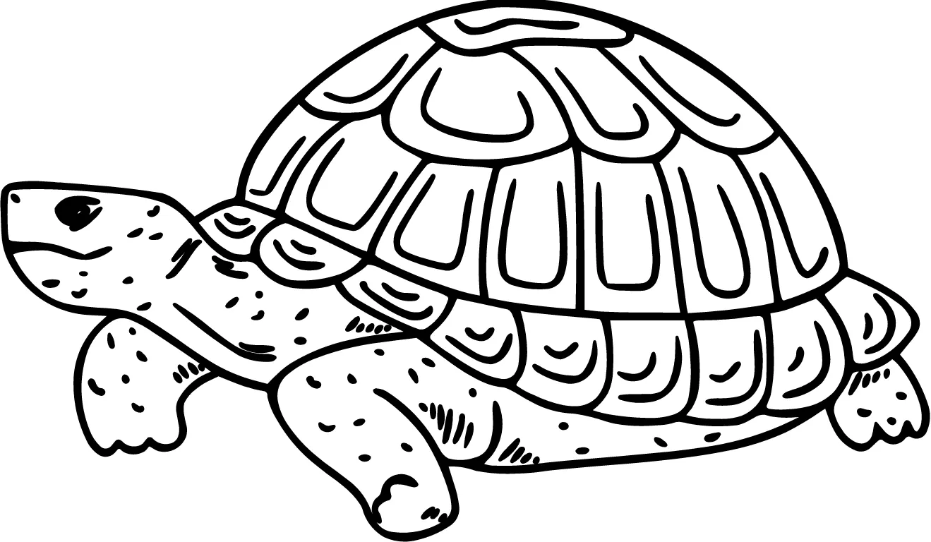 Metal Turtle and Hippo-Step1 Turtle-1