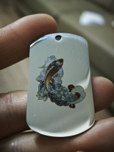 锦鲤 thumbnail 2