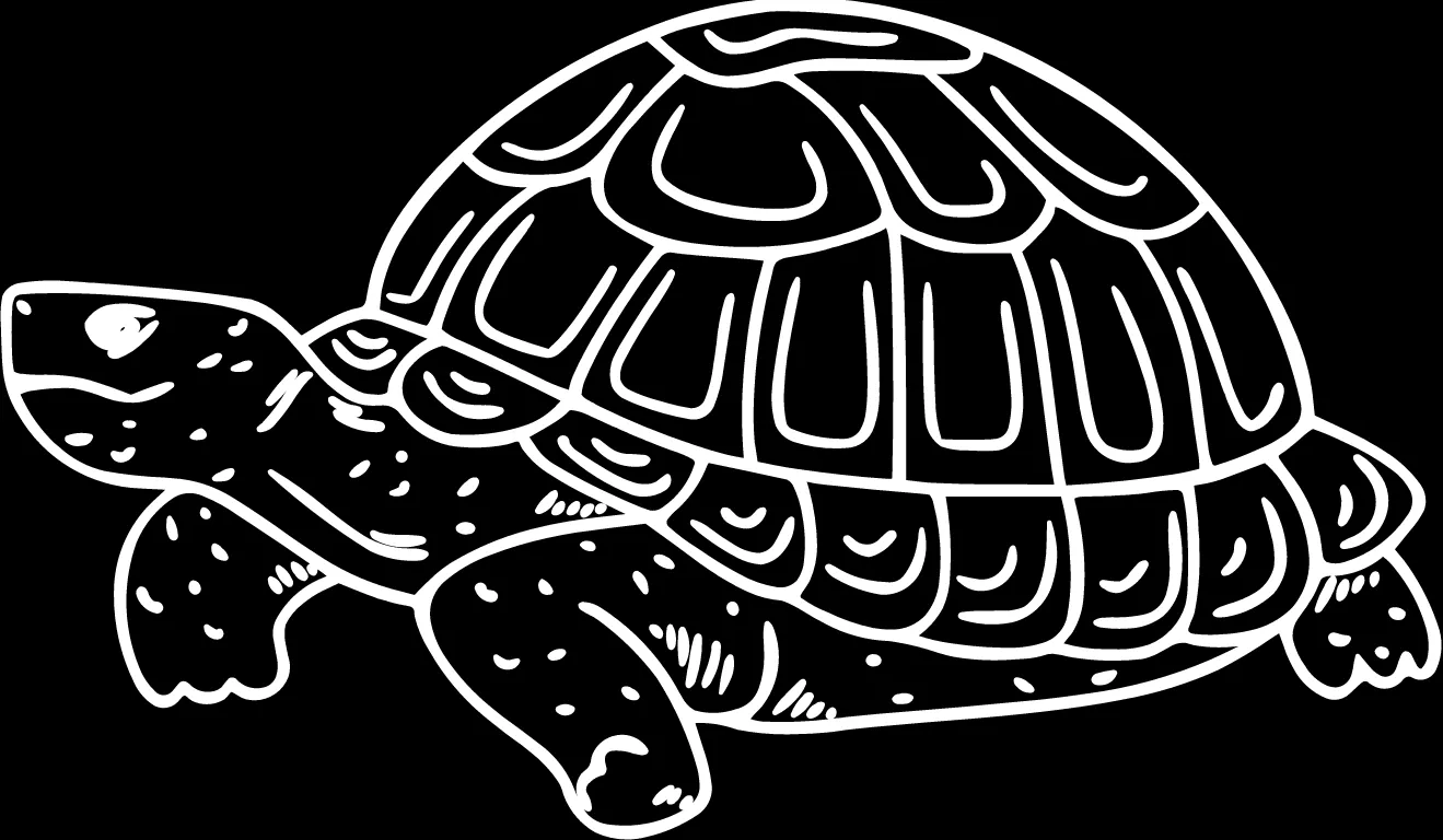 Metal Turtle and Hippo-Step1 Turtle-2