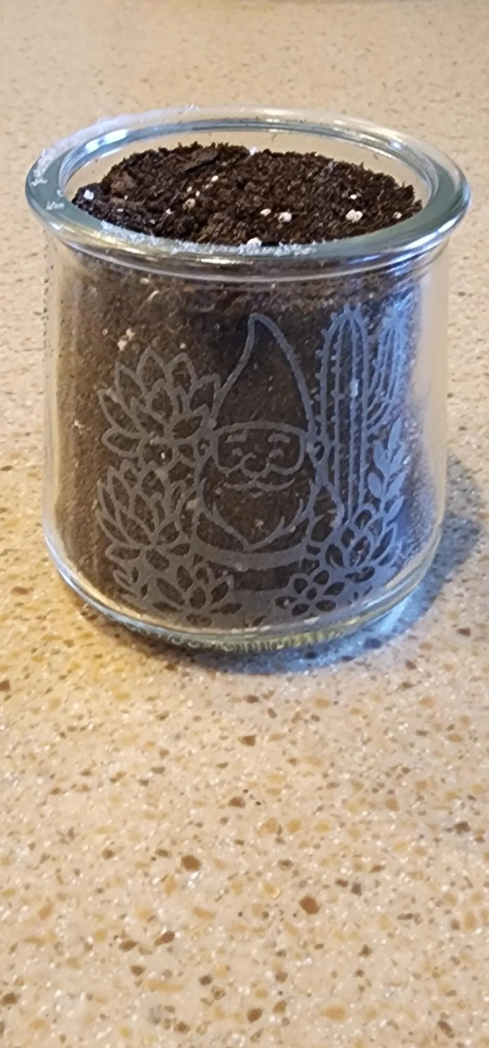 Garden Gnome image 1