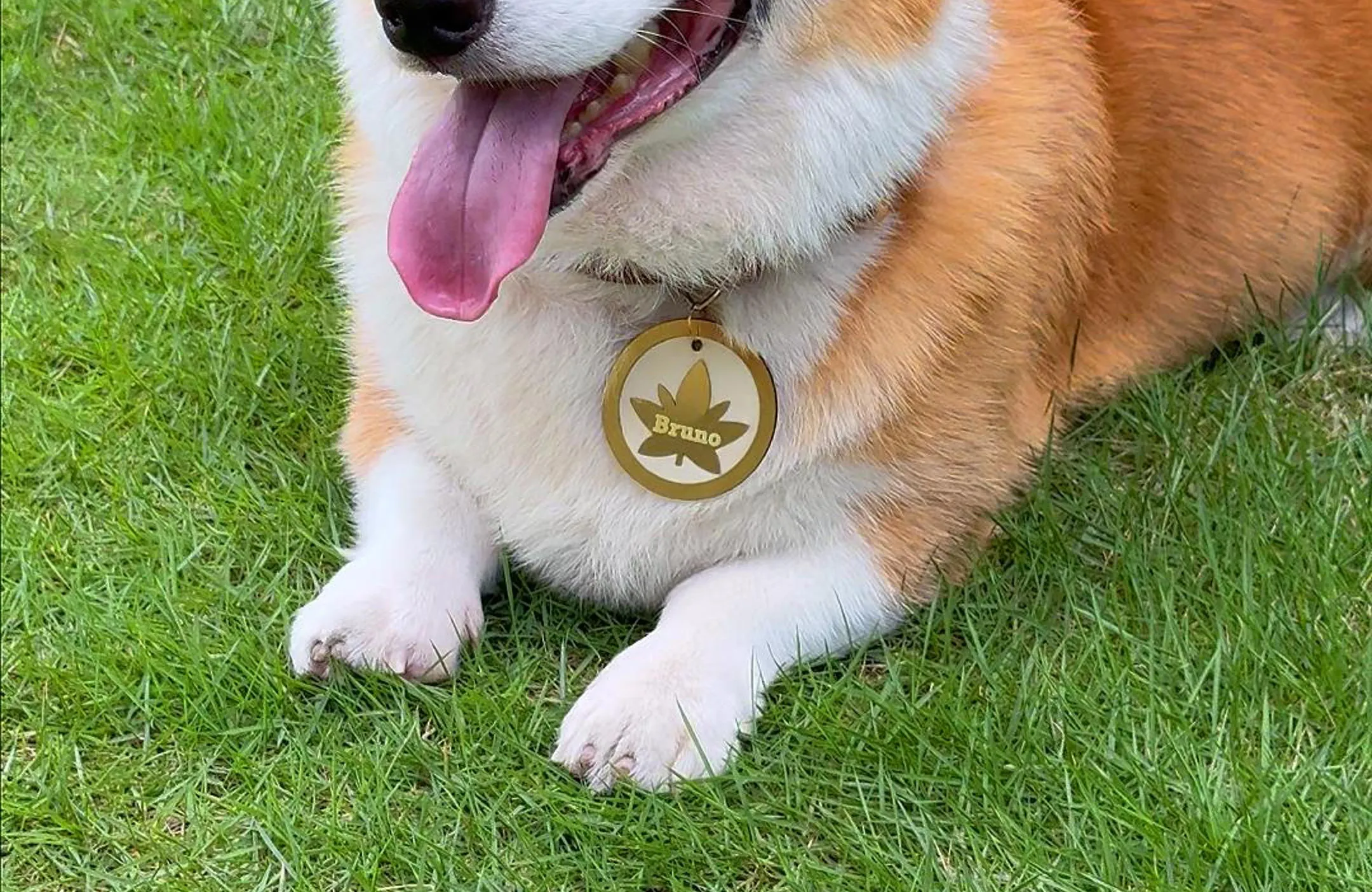 Autumn Dog Collar Tag image 1