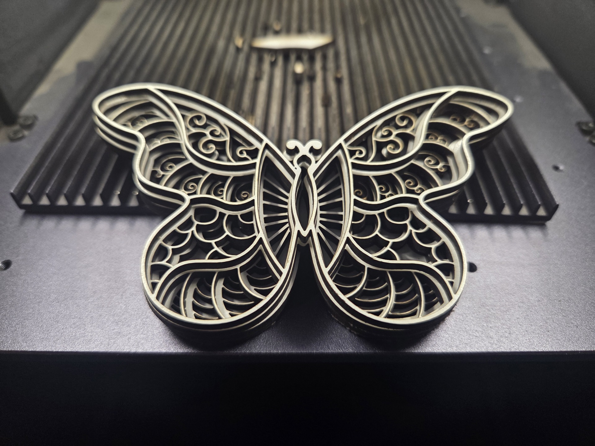 Layered Butterfly image 2